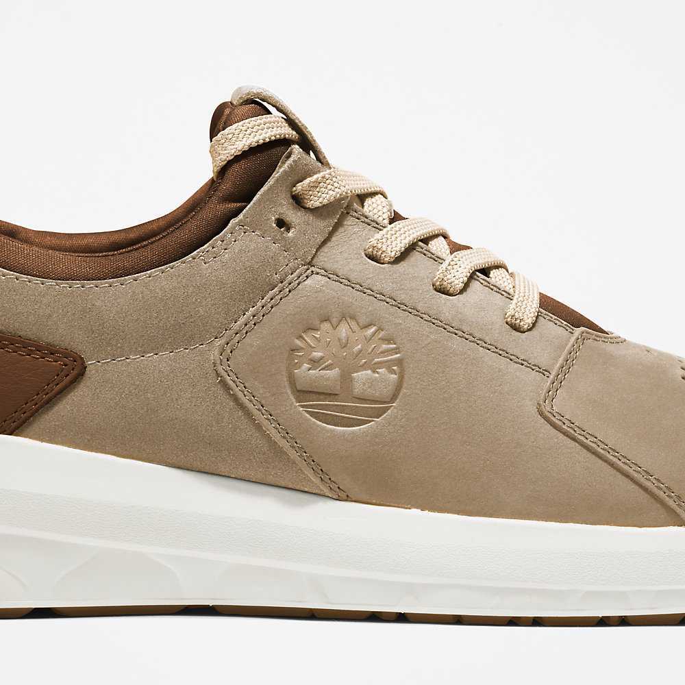 Men's Timberland Bradstreet Ultra Sneakers Beige | UAE-9641387