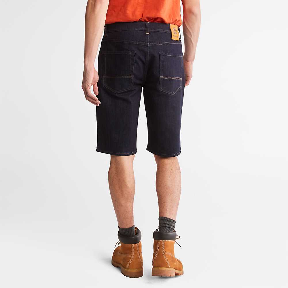 Men's Timberland Canobie Lake Shorts Navy | UAE-1637908