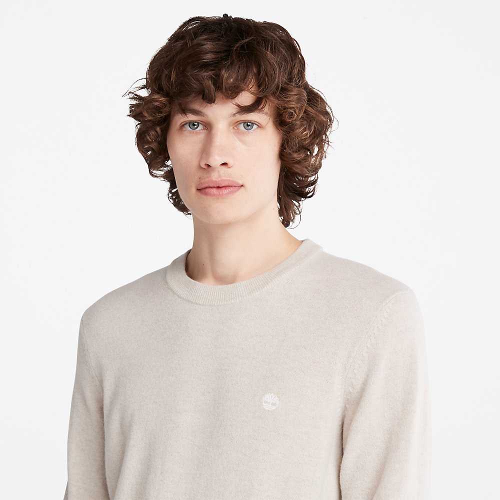 Men's Timberland Cohas Sweatshirt Light Grey | UAE-4657089