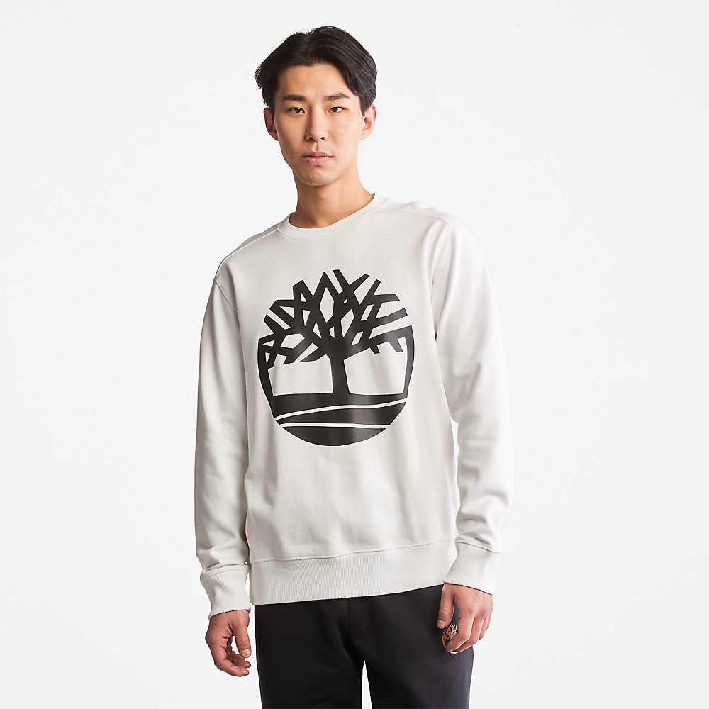 Men\'s Timberland Core Tree Logo Sweatshirt White | UAE-1240673