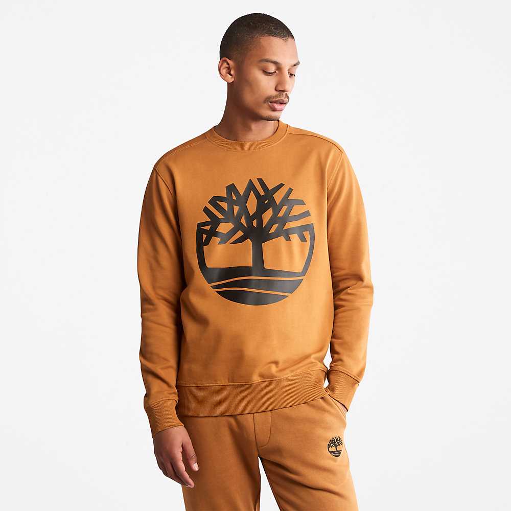 Men\'s Timberland Core Tree Logo Sweatshirt Yellow | UAE-2086351