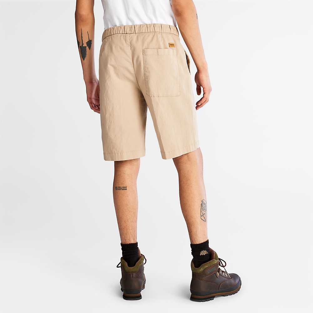 Men's Timberland Cotton Shorts Beige | UAE-9617542