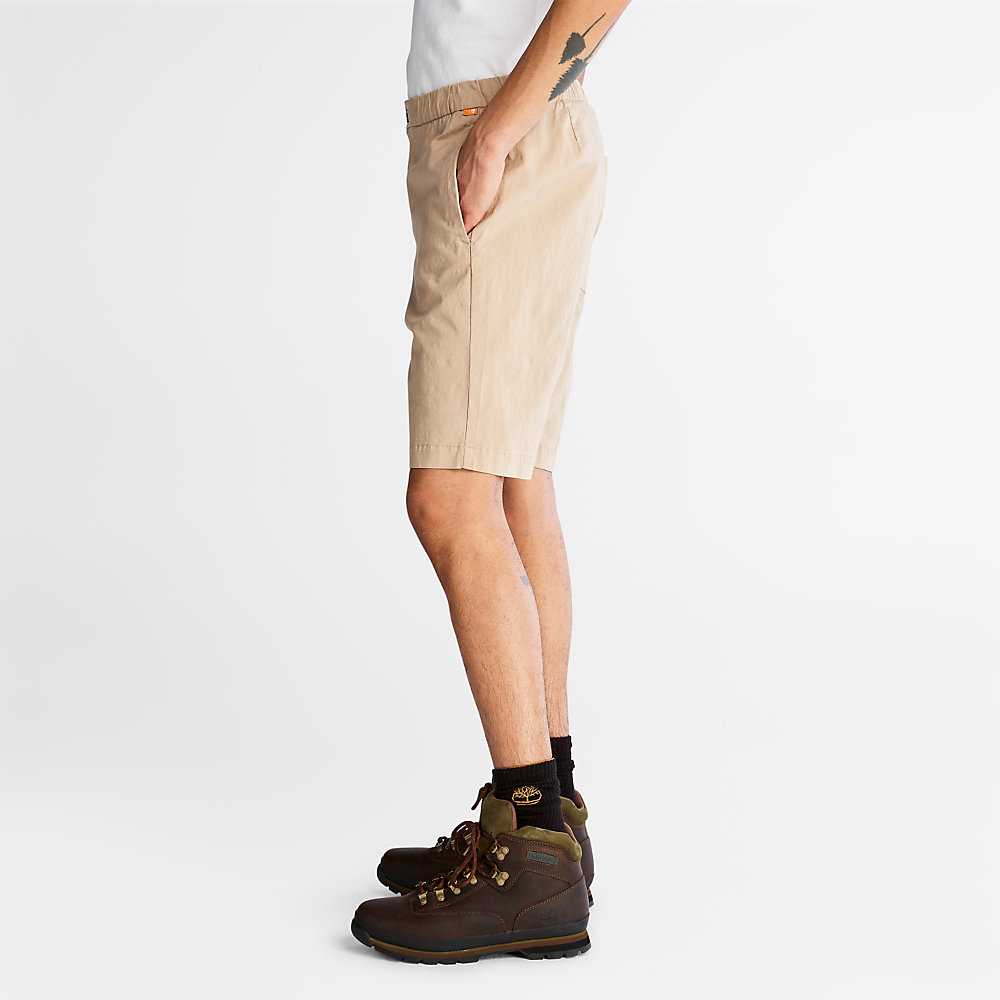 Men's Timberland Cotton Shorts Beige | UAE-9617542