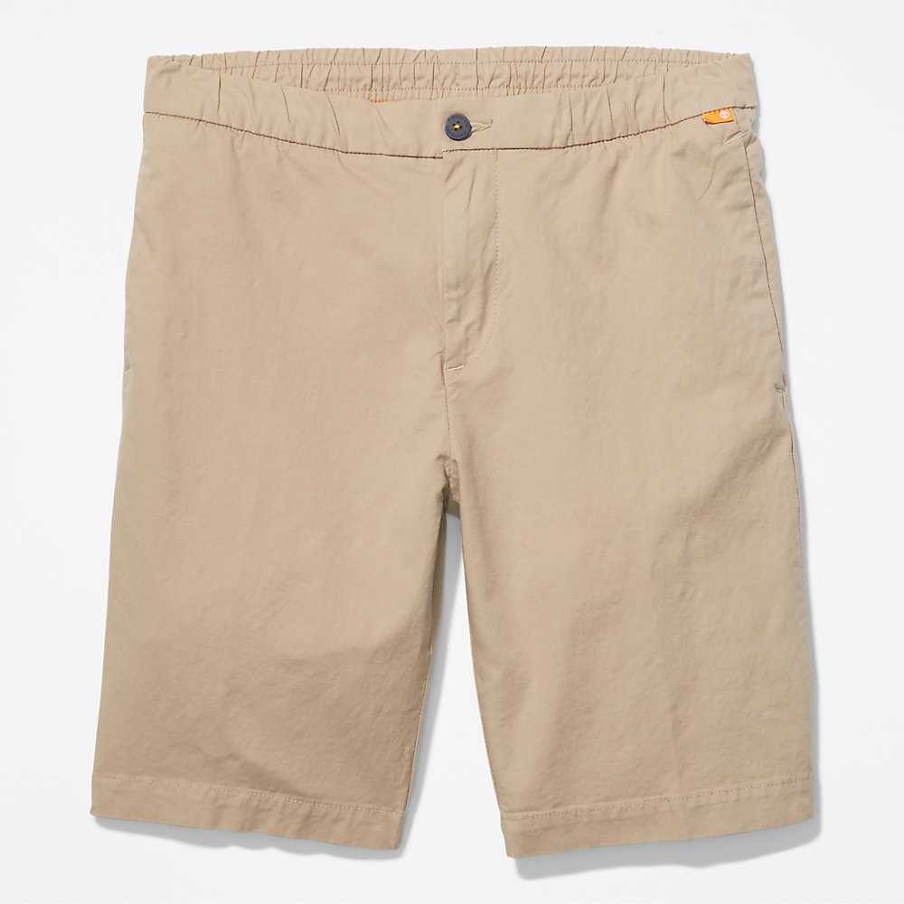 Men's Timberland Cotton Shorts Beige | UAE-9617542