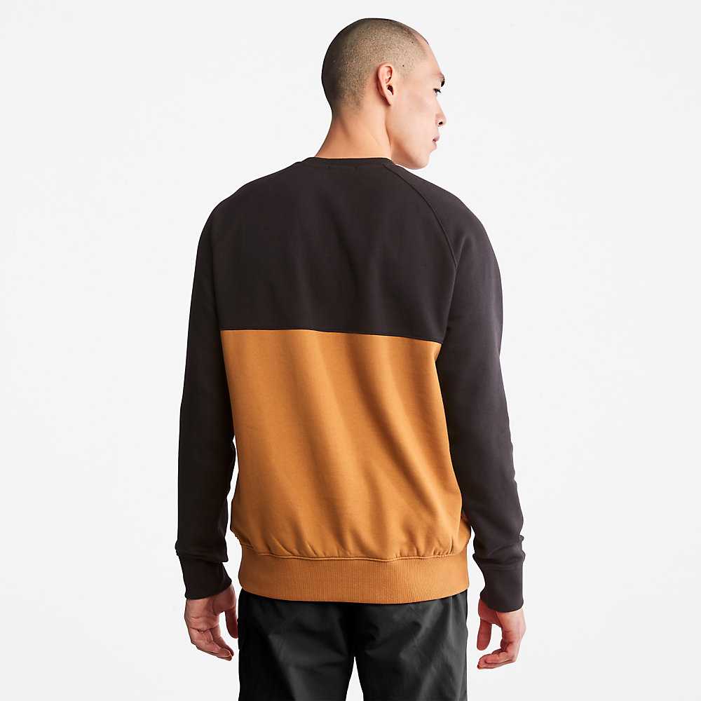 Men's Timberland Cut-and-Sew Sweatshirt Black | UAE-6475013