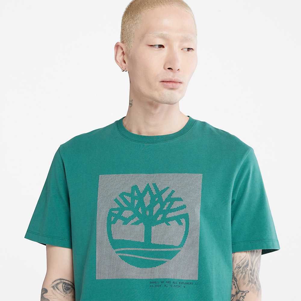 Men's Timberland Dotted Tree-logo T Shirts Green | UAE-3967215