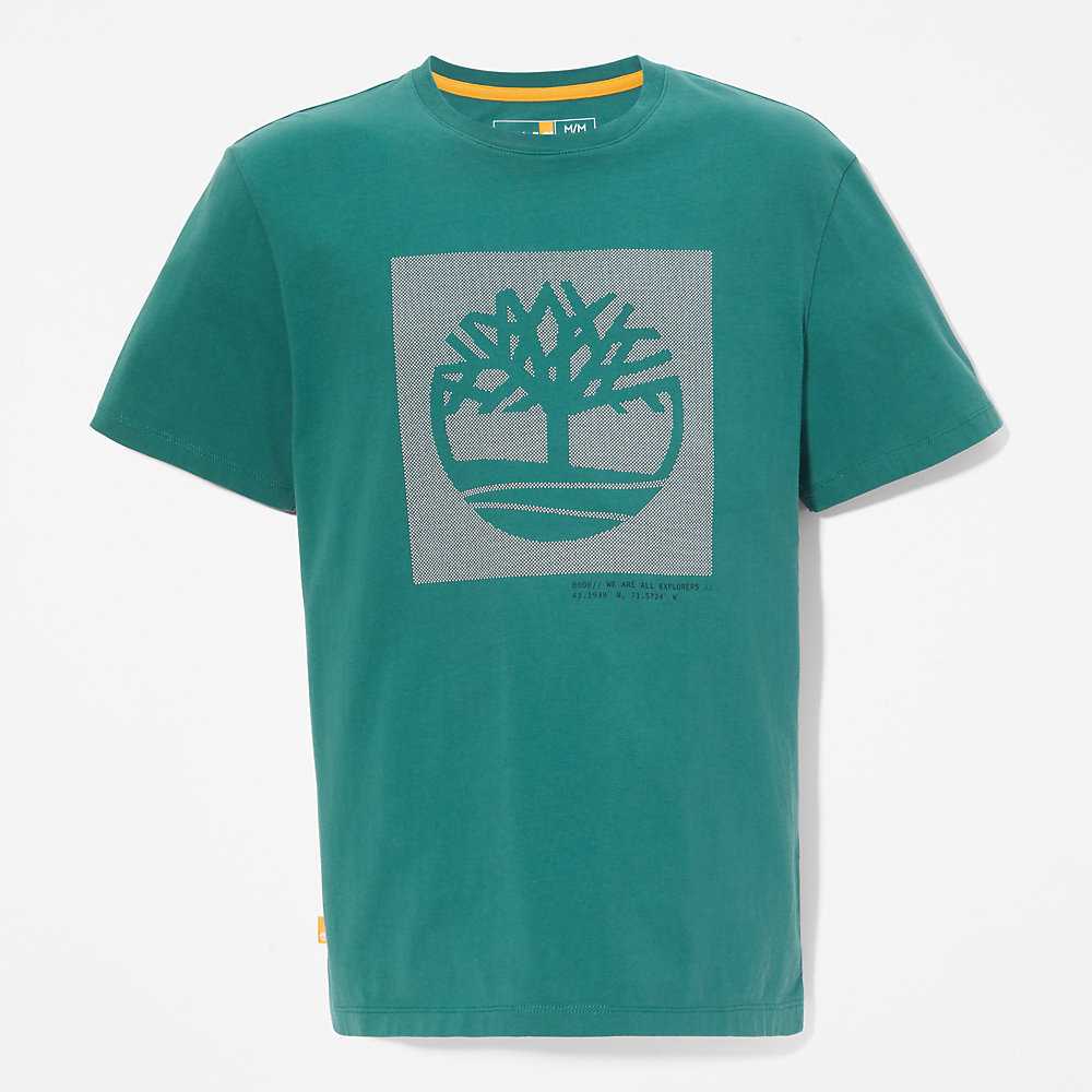 Men's Timberland Dotted Tree-logo T Shirts Green | UAE-3967215