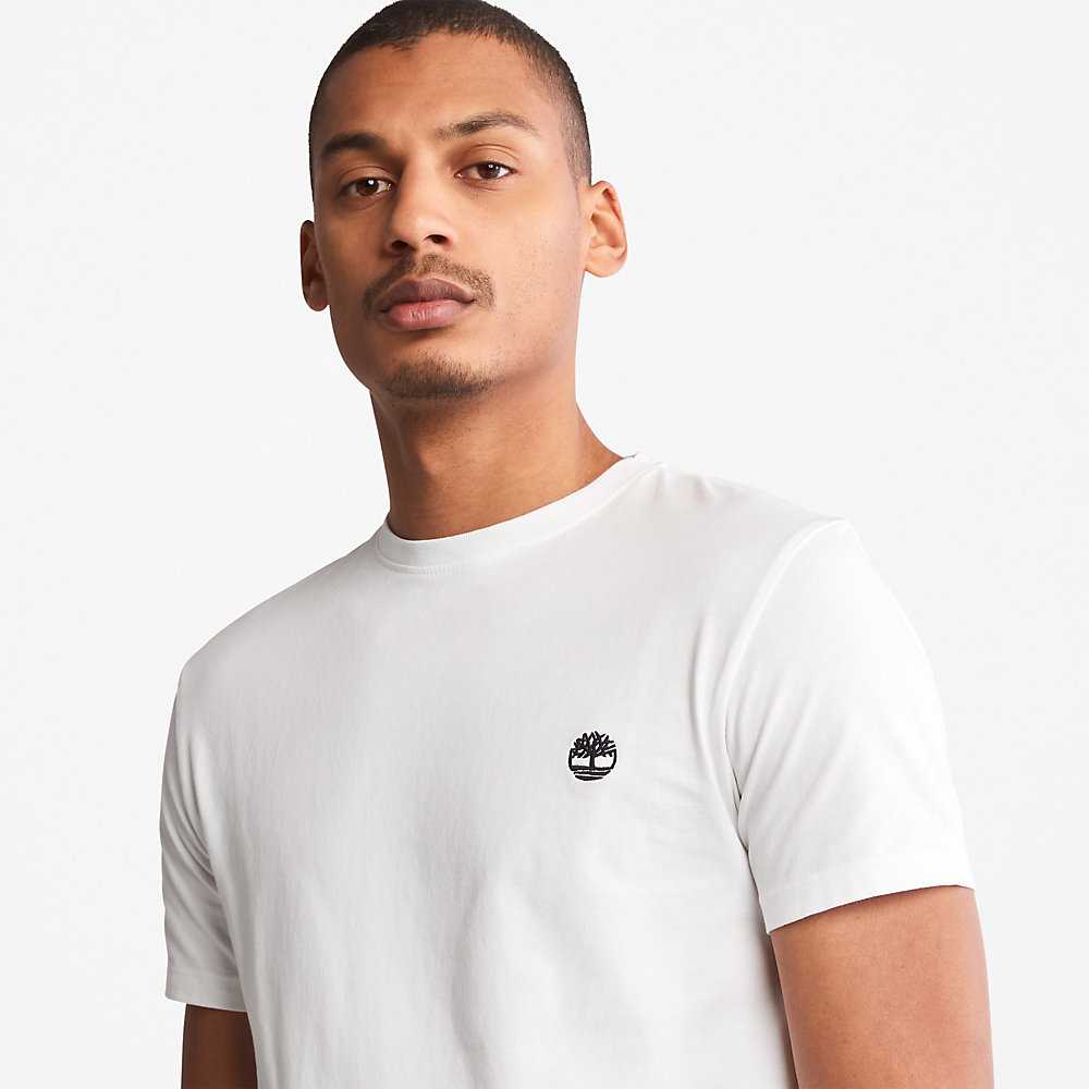 Men's Timberland Dunstan River T Shirts White | UAE-0619354