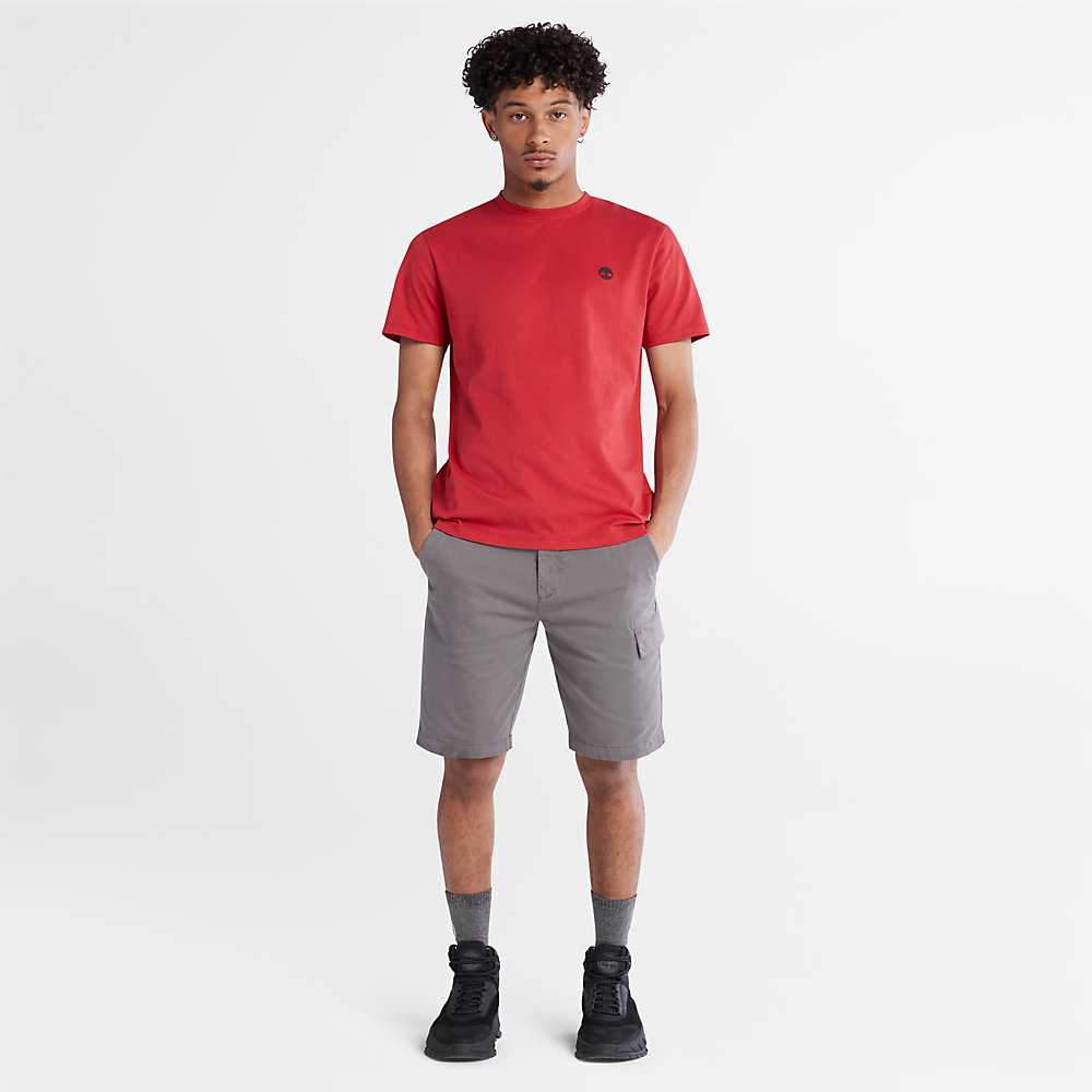 Men's Timberland Dunstan River T Shirts Red | UAE-0793851