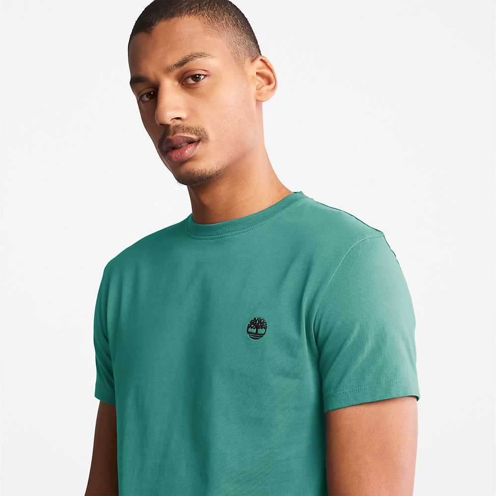 Men's Timberland Dunstan River T Shirts Green | UAE-1078296