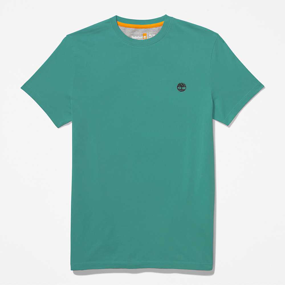 Men's Timberland Dunstan River T Shirts Green | UAE-1078296