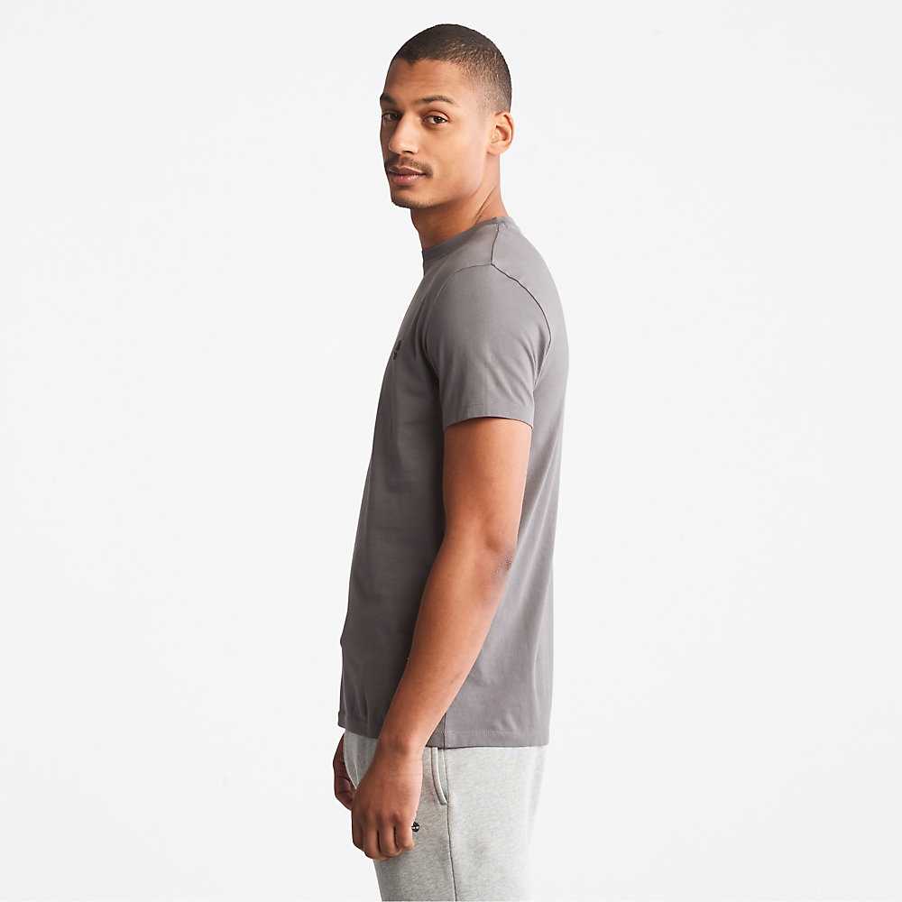 Men's Timberland Dunstan River T Shirts Grey | UAE-1653097