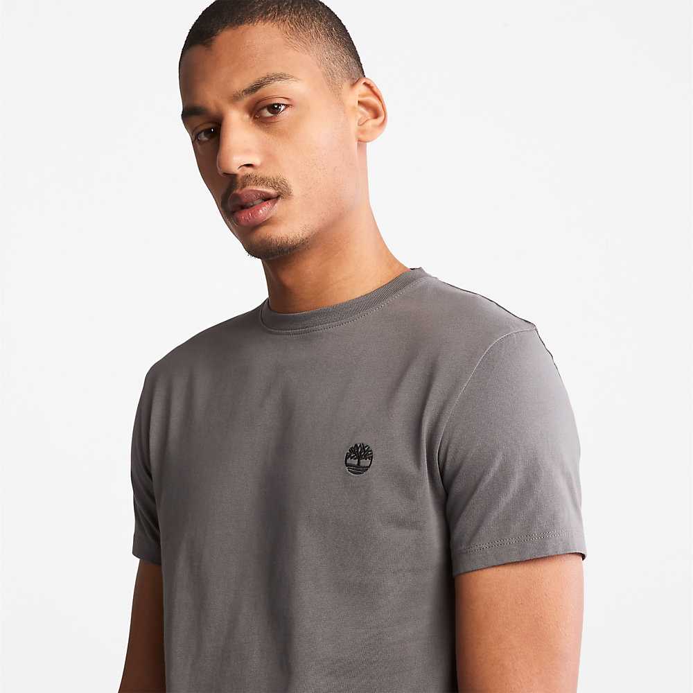 Men's Timberland Dunstan River T Shirts Grey | UAE-1653097