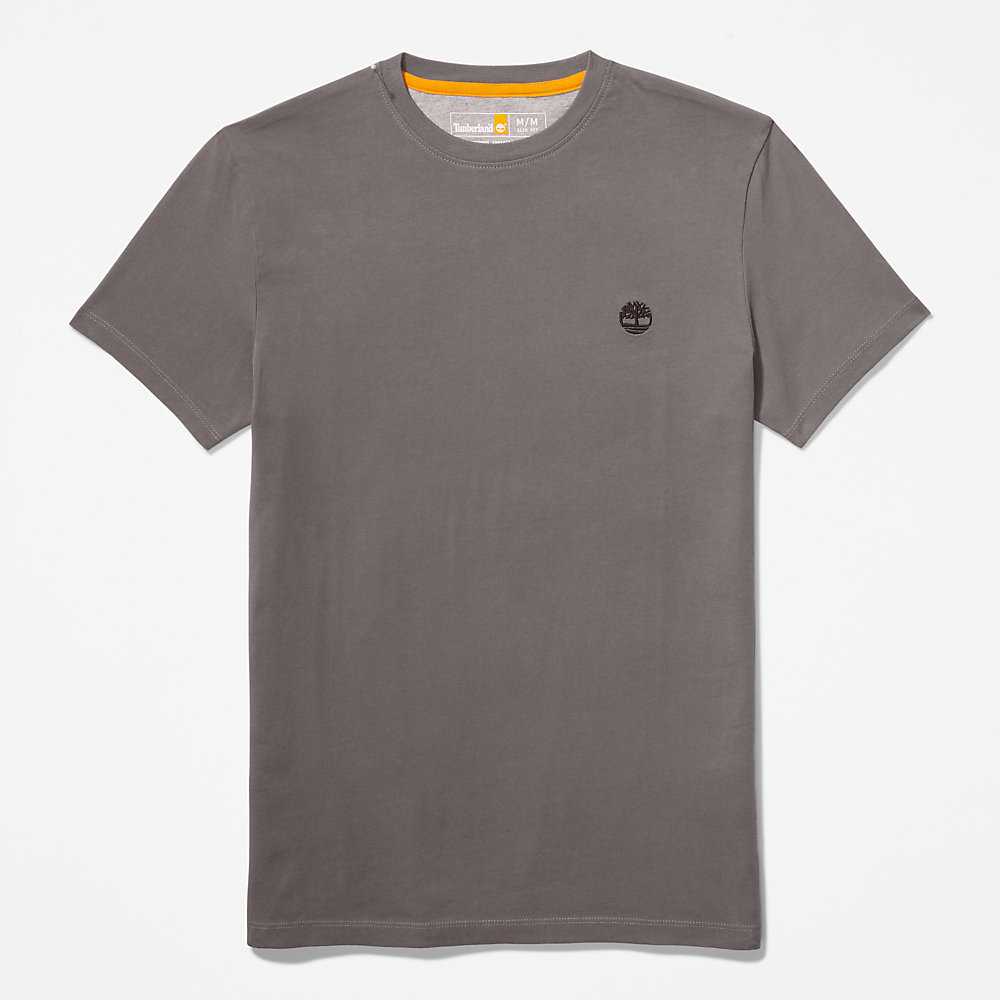 Men's Timberland Dunstan River T Shirts Grey | UAE-1653097