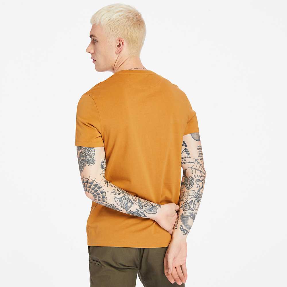 Men's Timberland Dunstan River T Shirts Yellow | UAE-1850976