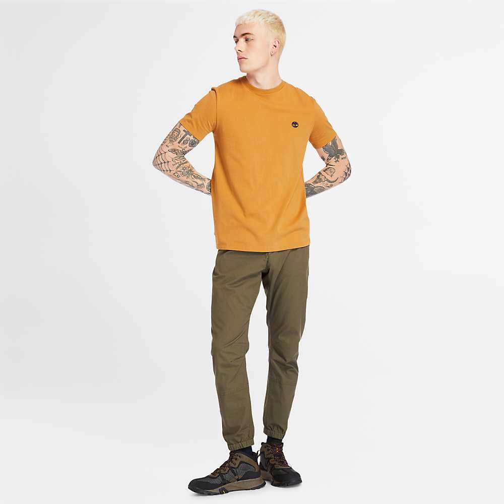 Men's Timberland Dunstan River T Shirts Yellow | UAE-1850976