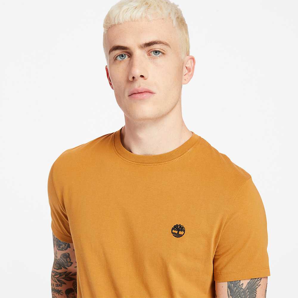 Men's Timberland Dunstan River T Shirts Yellow | UAE-1850976