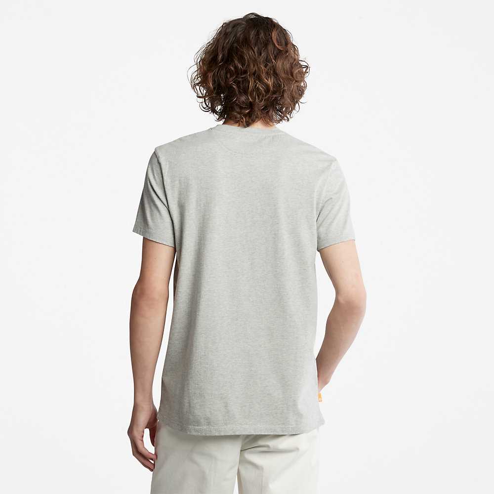 Men's Timberland Dunstan River T Shirts Grey | UAE-2586937