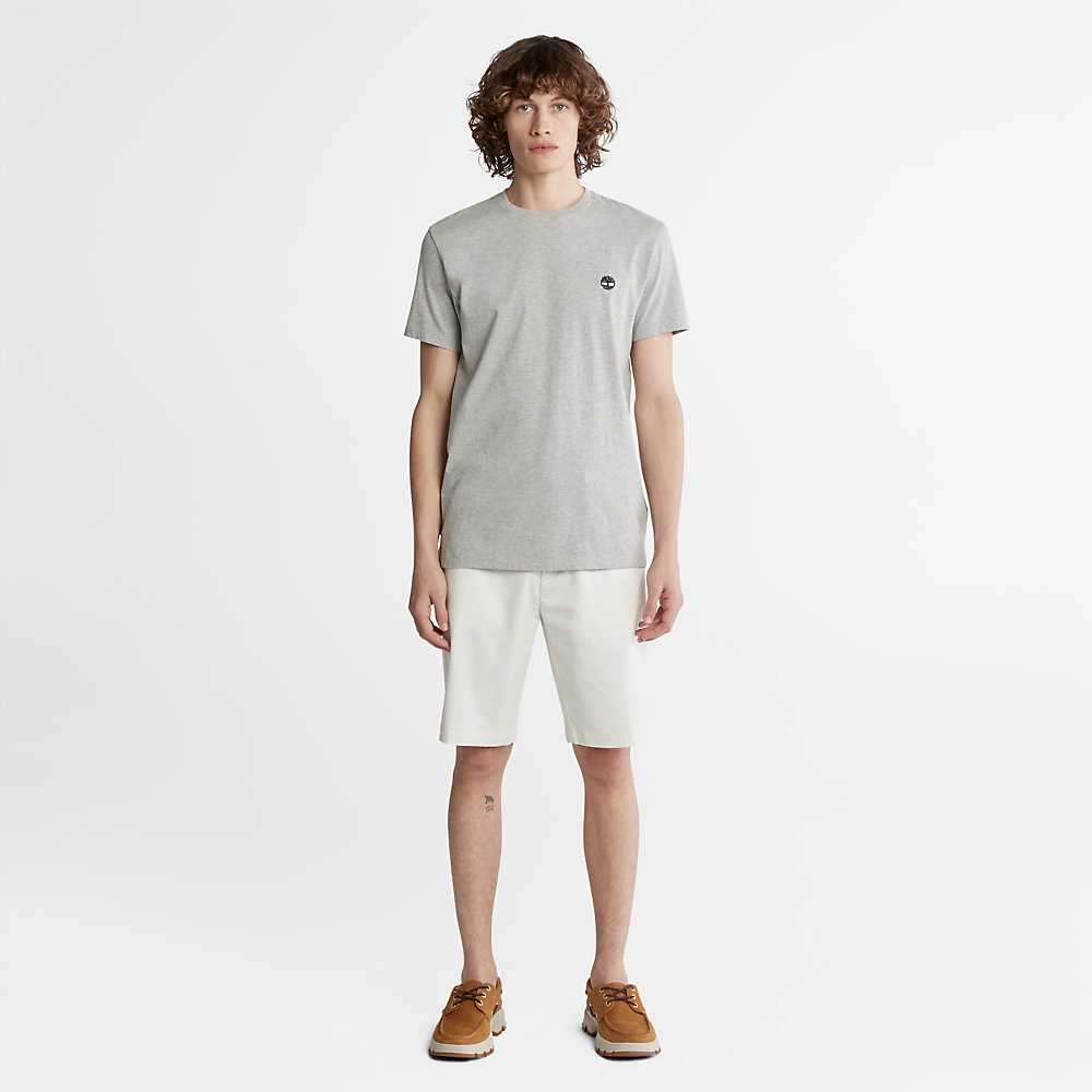 Men's Timberland Dunstan River T Shirts Grey | UAE-2586937