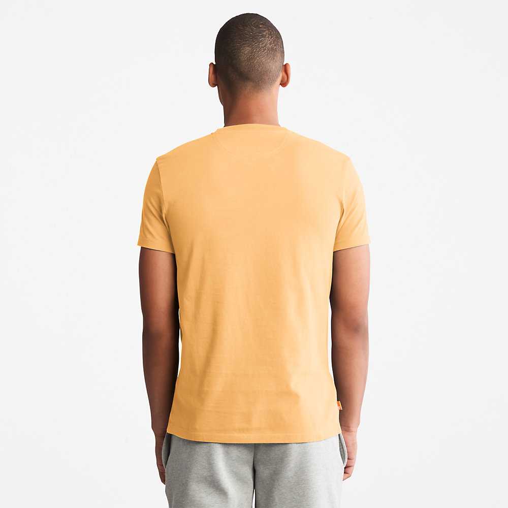 Men's Timberland Dunstan River T Shirts Yellow | UAE-3896045