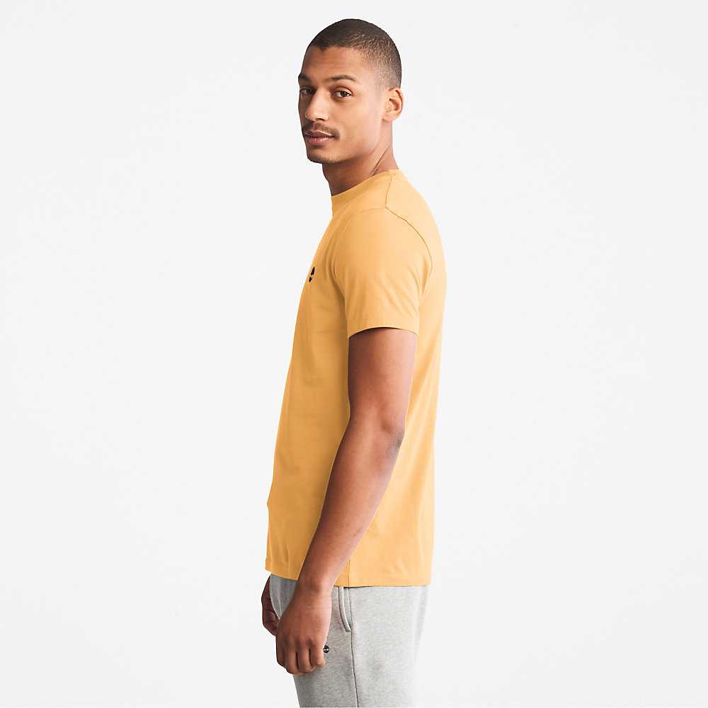 Men's Timberland Dunstan River T Shirts Yellow | UAE-3896045