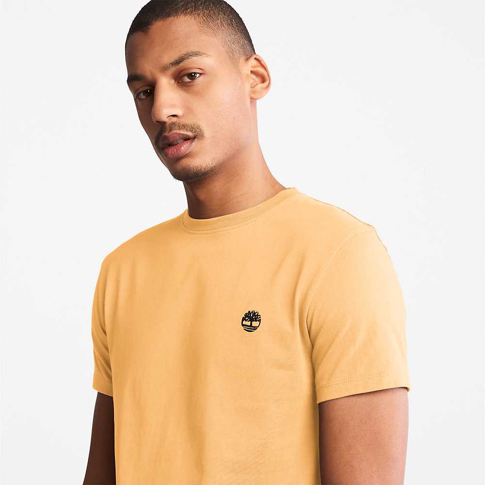 Men's Timberland Dunstan River T Shirts Yellow | UAE-3896045