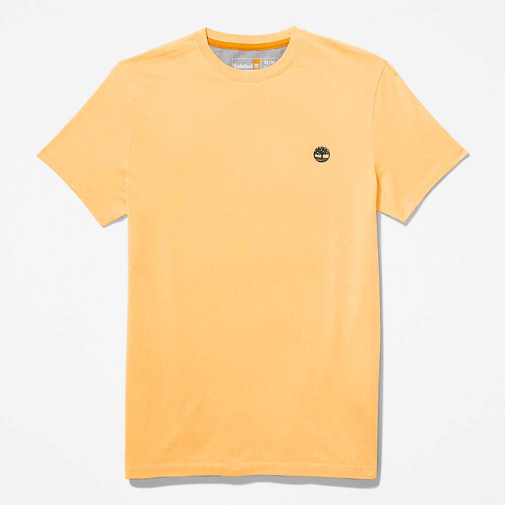 Men's Timberland Dunstan River T Shirts Yellow | UAE-3896045