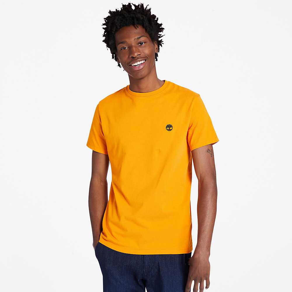 Men\'s Timberland Dunstan River T Shirts Orange | UAE-4908153