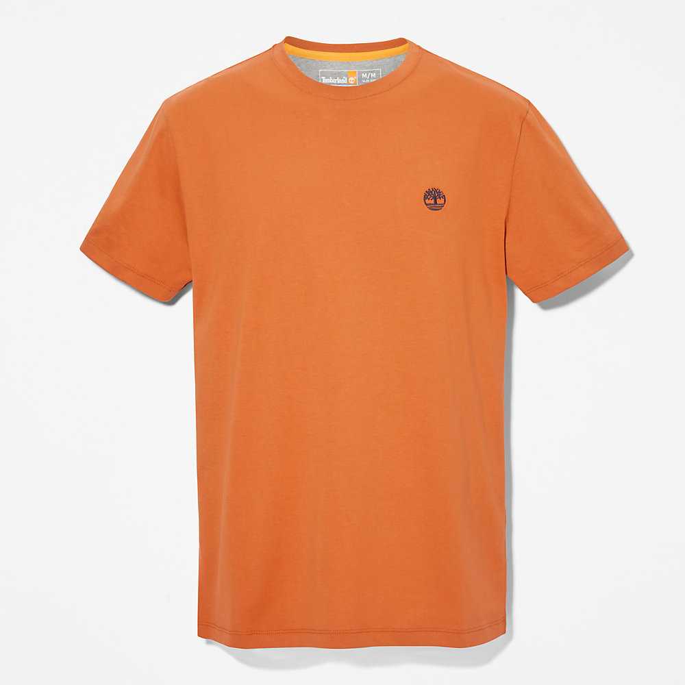 Men's Timberland Dunstan River T Shirts Orange | UAE-6731459