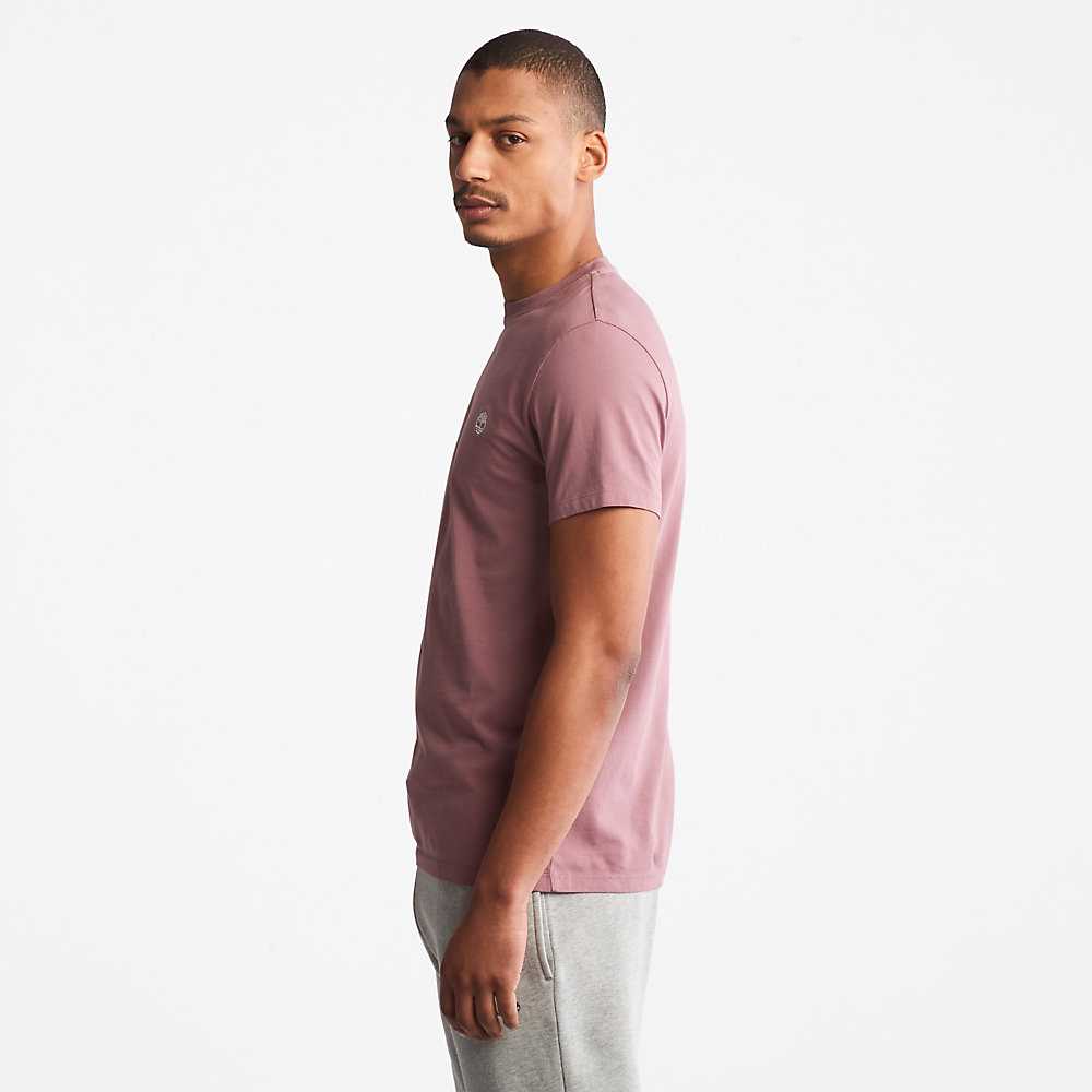 Men's Timberland Dunstan River T Shirts Pink | UAE-7406531