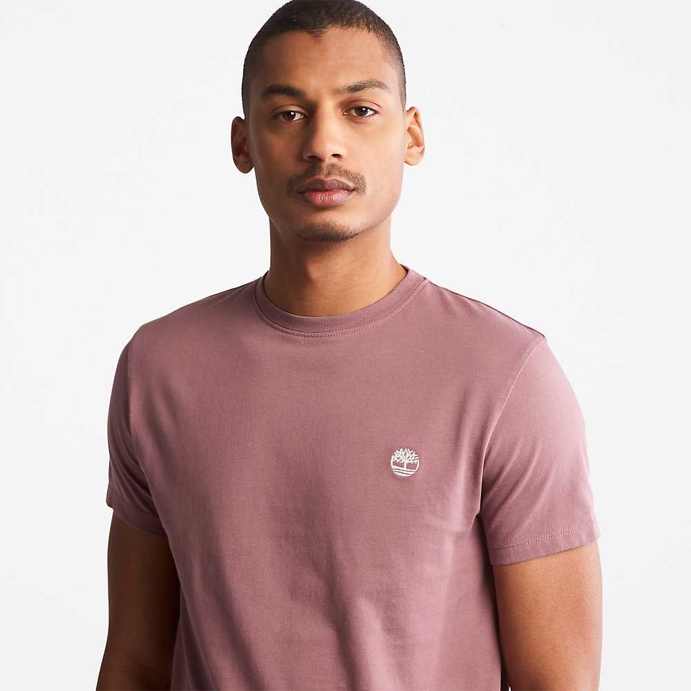 Men's Timberland Dunstan River T Shirts Pink | UAE-7406531