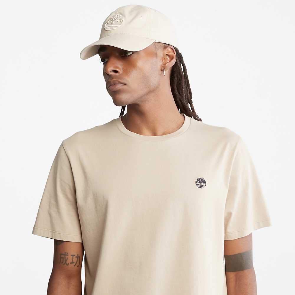 Men's Timberland Dunstan River T Shirts Beige | UAE-7532084