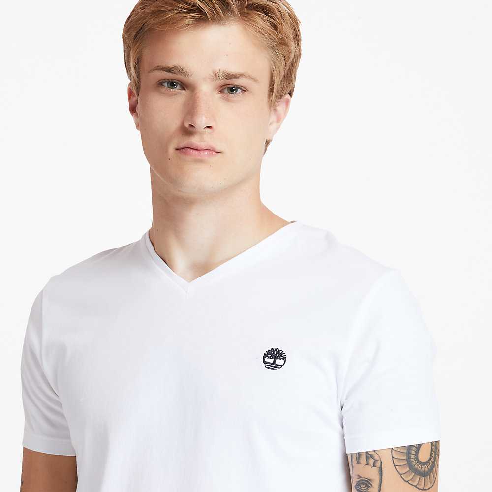 Men's Timberland Dunstan River T Shirts White | UAE-7546231