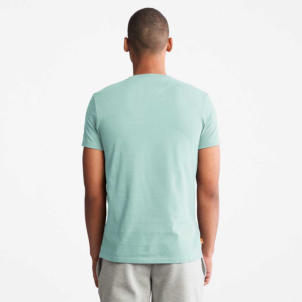 Men's Timberland Dunstan River T Shirts Turquoise | UAE-8342510