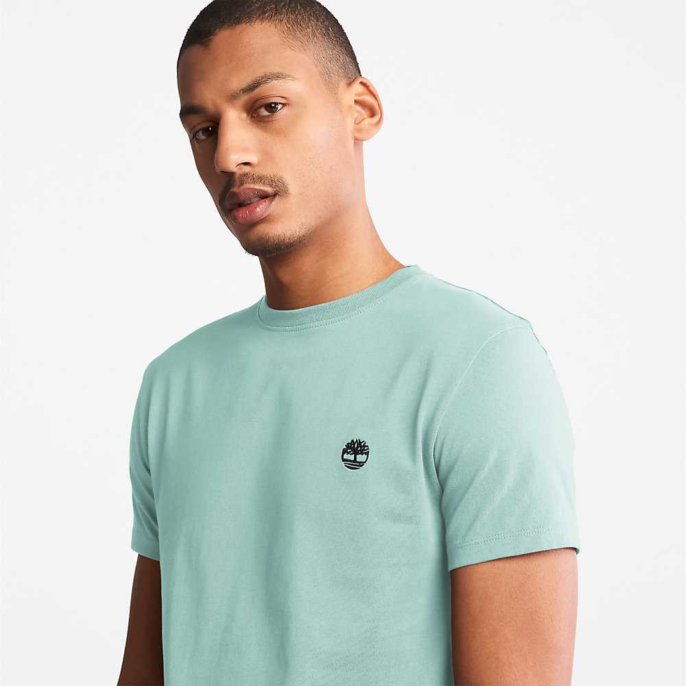 Men's Timberland Dunstan River T Shirts Turquoise | UAE-8342510