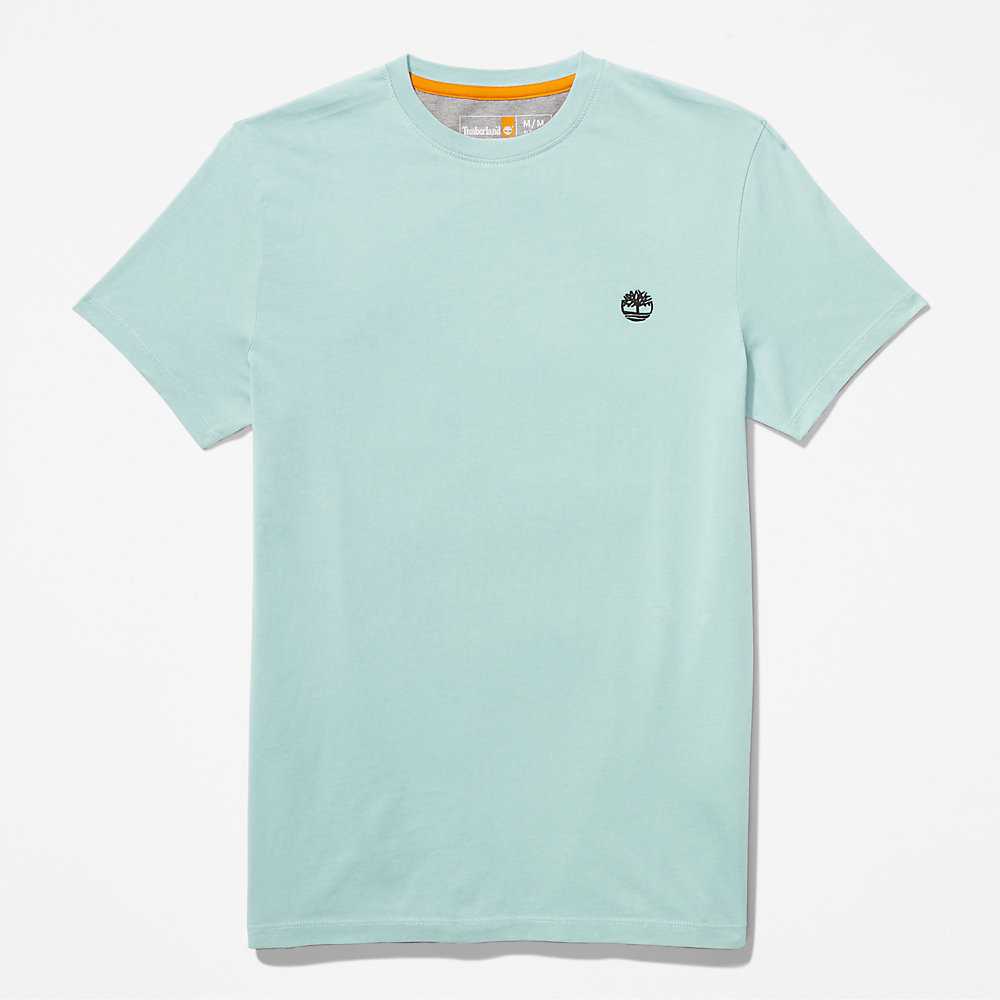 Men's Timberland Dunstan River T Shirts Turquoise | UAE-8342510