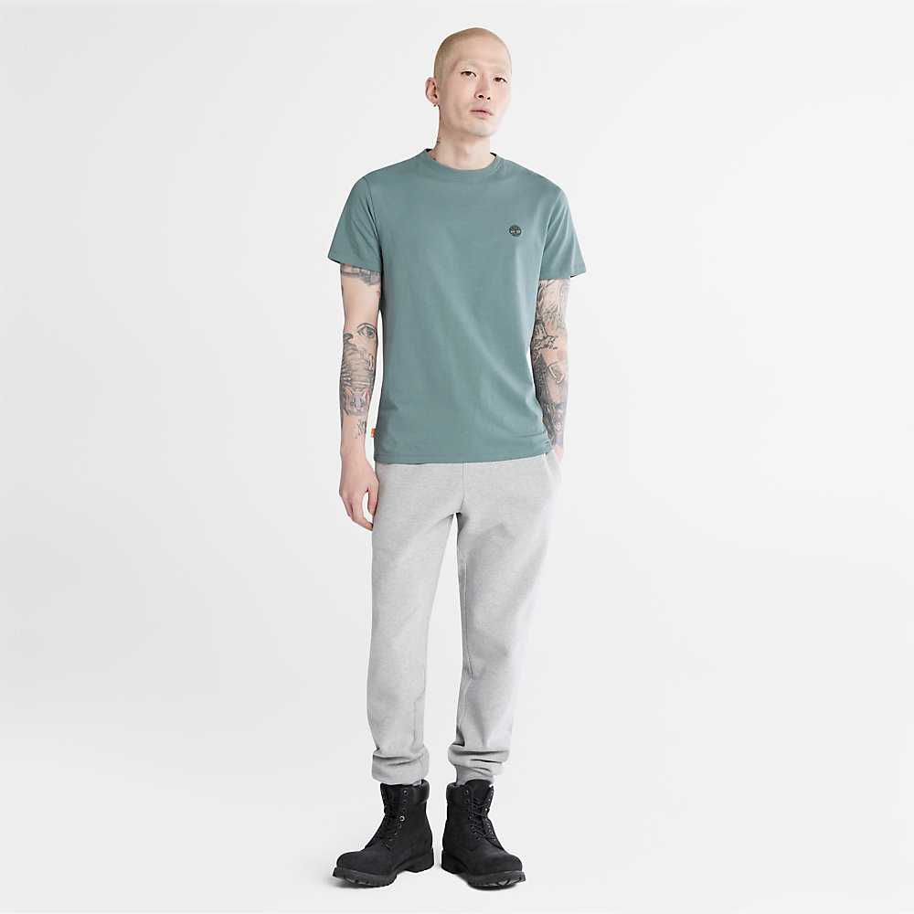 Men's Timberland Dunstan River T Shirts Green | UAE-8379165