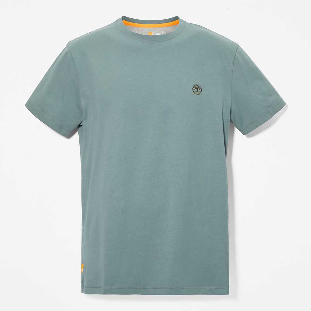 Men's Timberland Dunstan River T Shirts Green | UAE-8379165