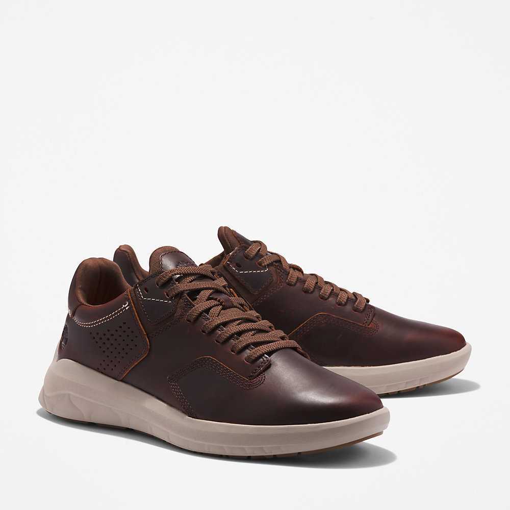 Men's Timberland Earthkeepers Sneakers Dark Brown | UAE-6740239