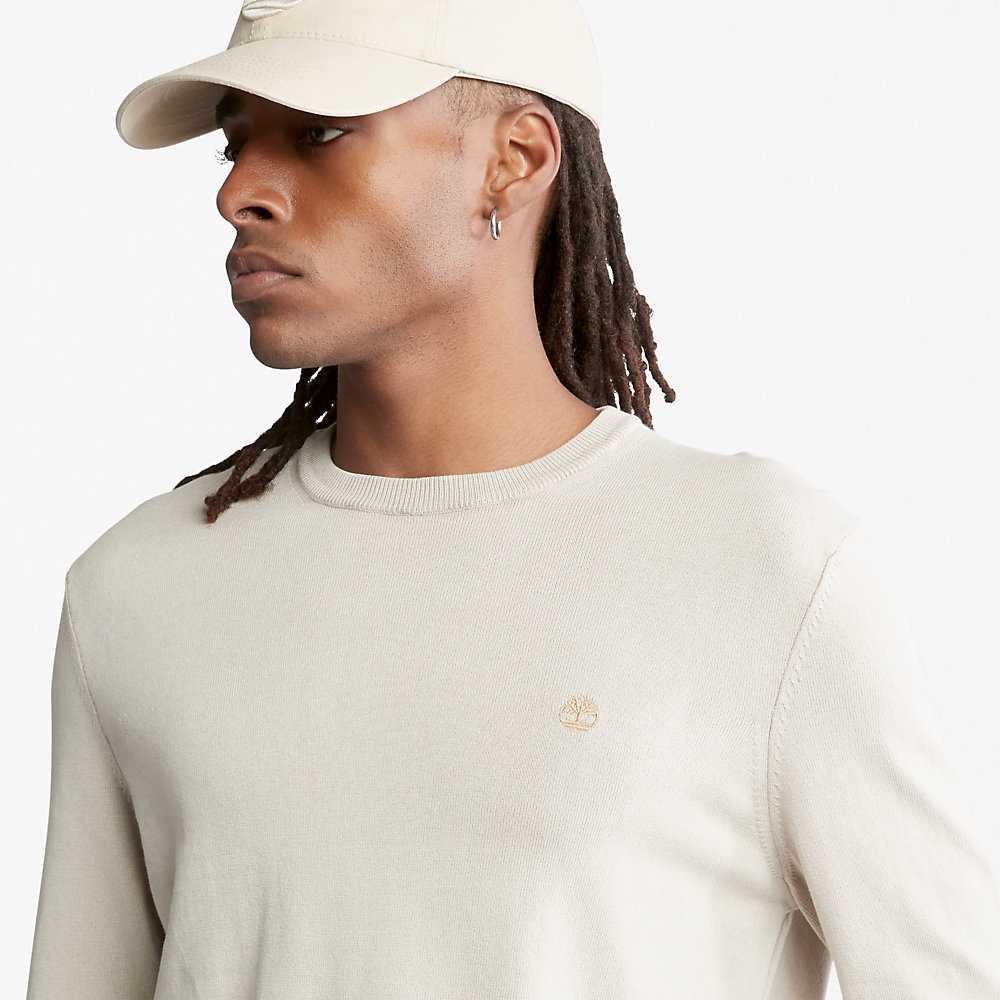 Men's Timberland Earthkeepers Sweatshirt Beige | UAE-3956781