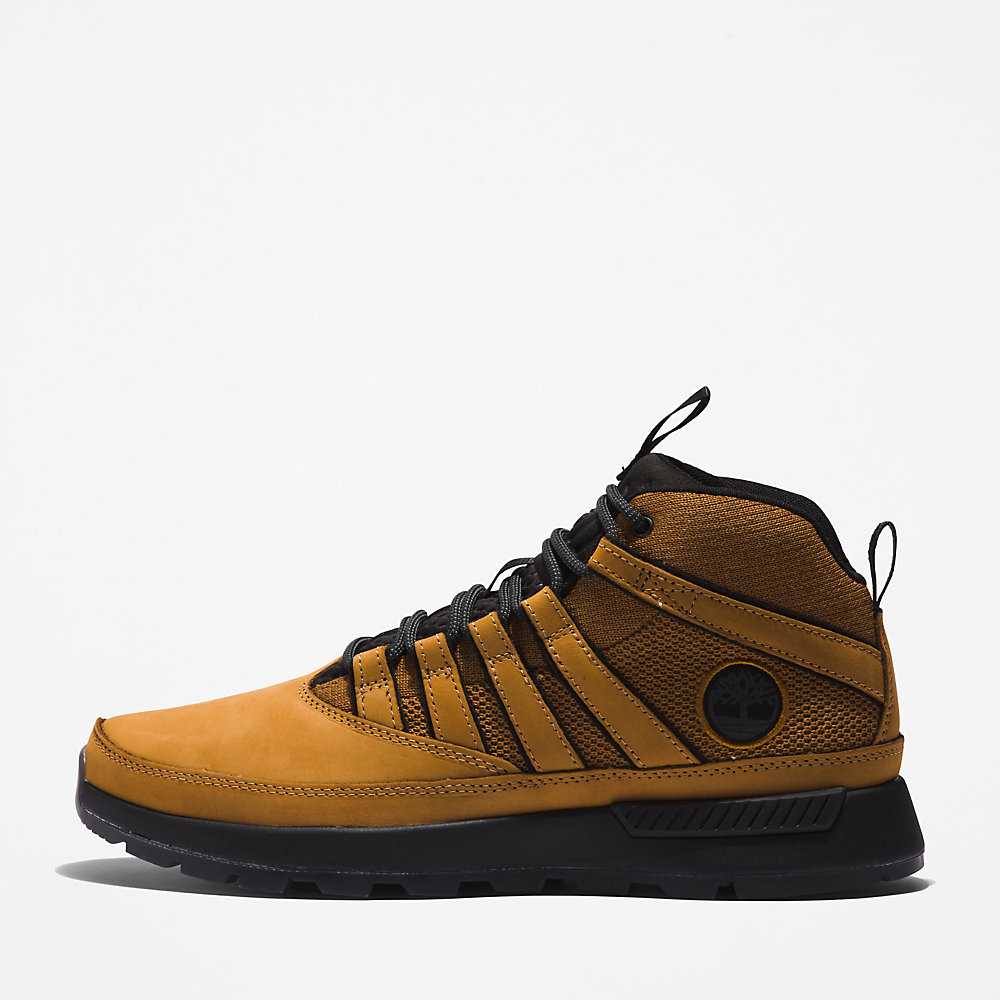 Men's Timberland Euro Trekker Hiking Boots Yellow | UAE-4392806