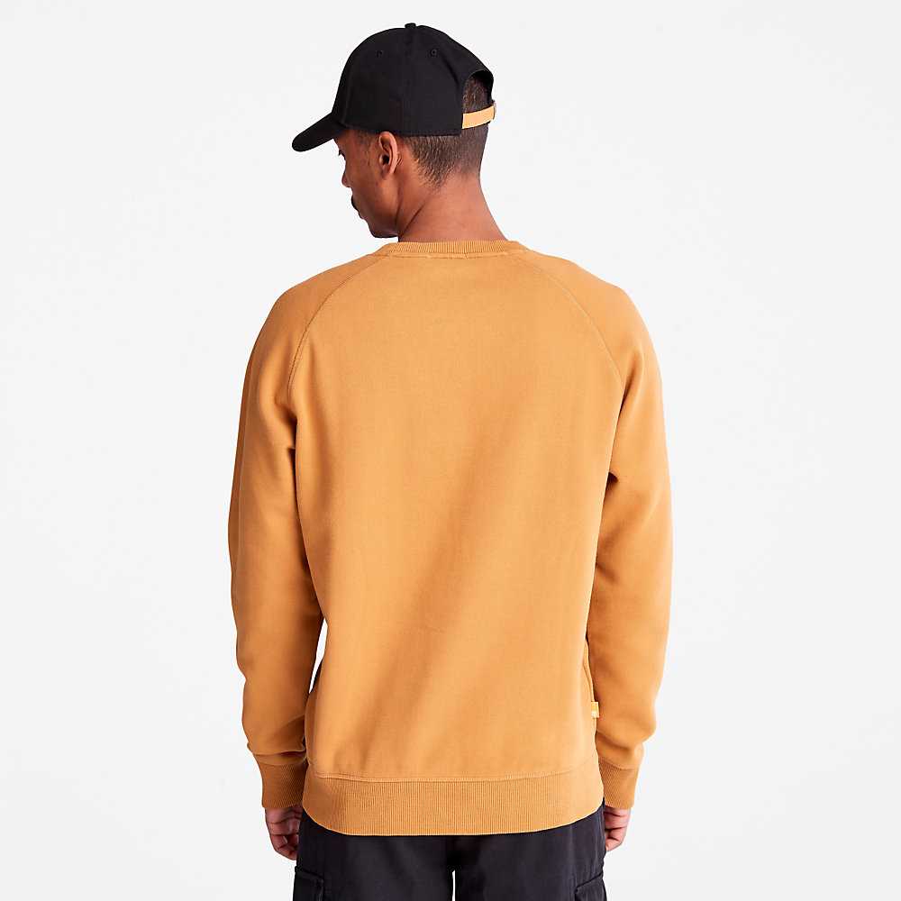 Men's Timberland Exeter River Sweatshirt Yellow | UAE-6705149