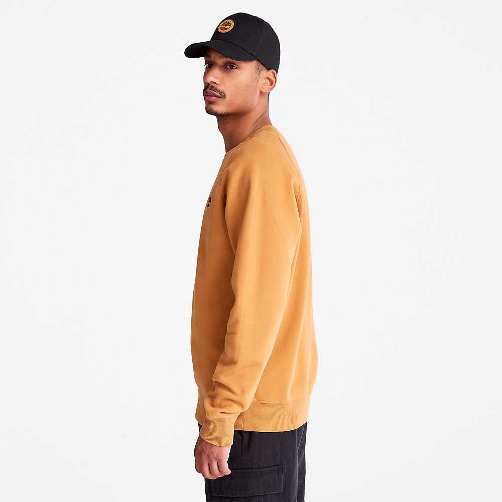 Men's Timberland Exeter River Sweatshirt Yellow | UAE-6705149