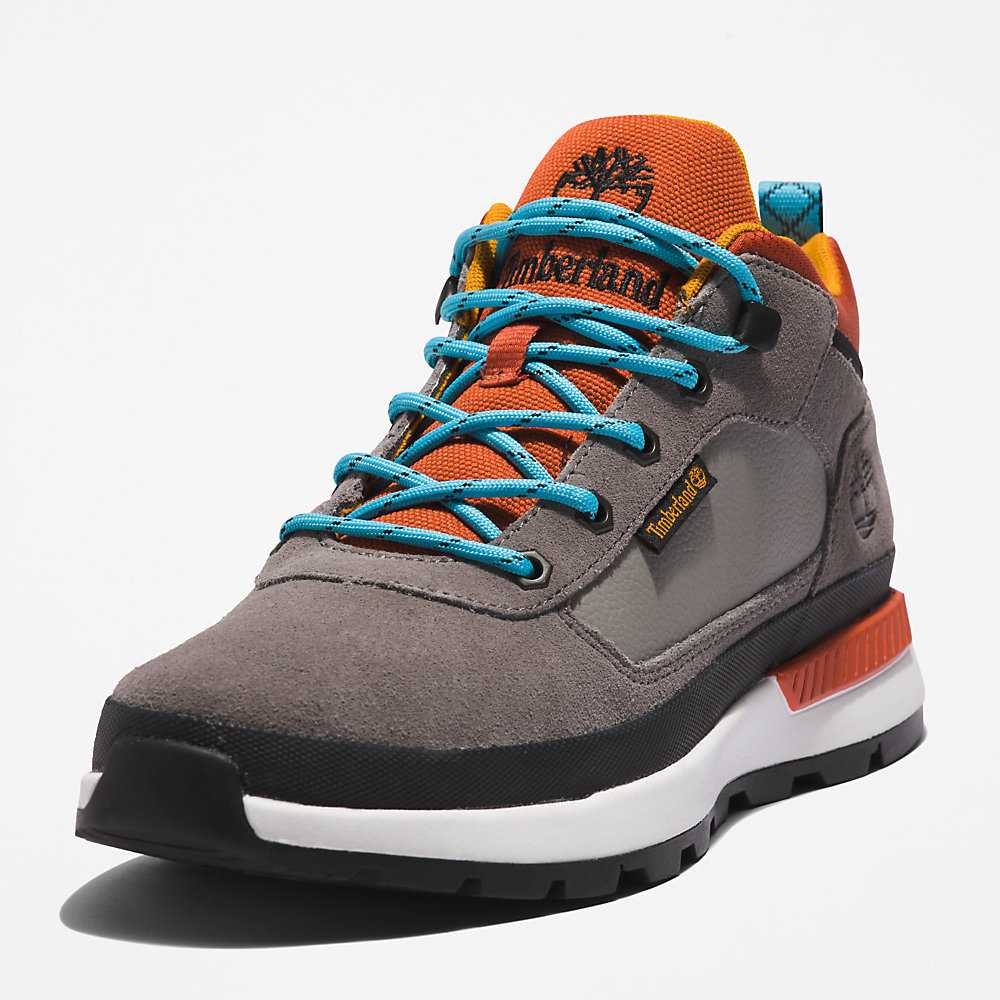 Men's Timberland Field Trekker Hiking Boots Dark Grey | UAE-3869147