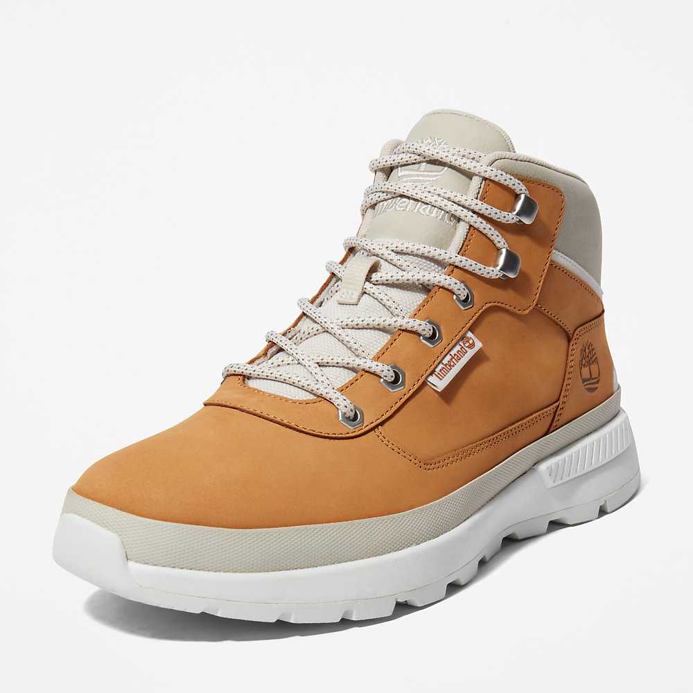 Men's Timberland Field Trekker Hiking Boots Light Brown | UAE-4910568