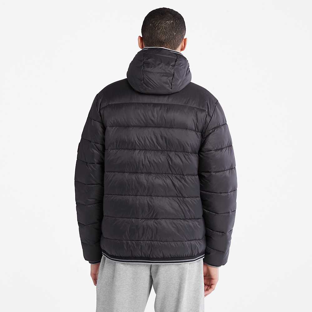 Men's Timberland Garfield Down Jackets Black | UAE-3197425