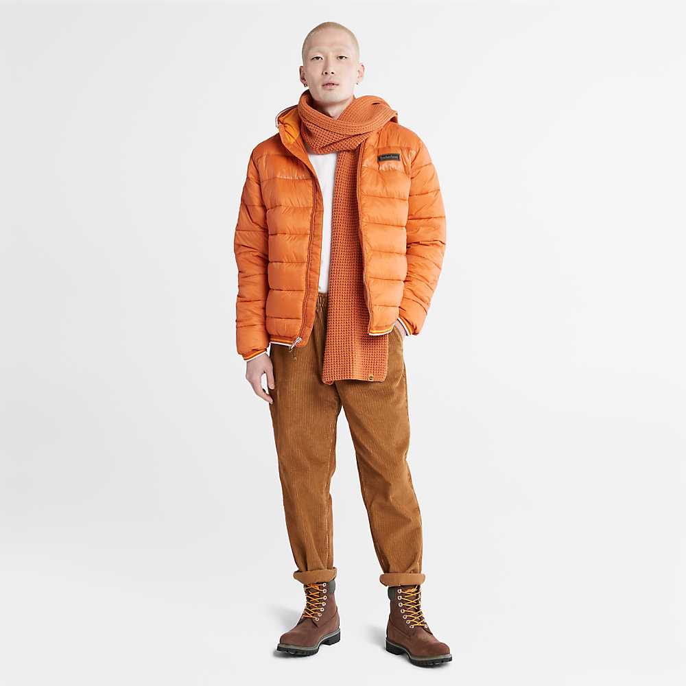 Men's Timberland Garfield Down Jackets Orange | UAE-3962174