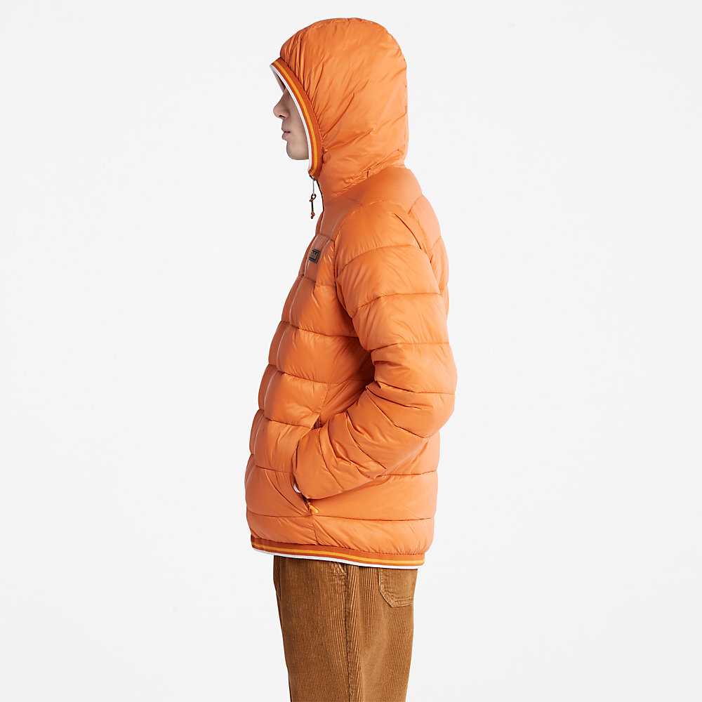 Men's Timberland Garfield Down Jackets Orange | UAE-3962174