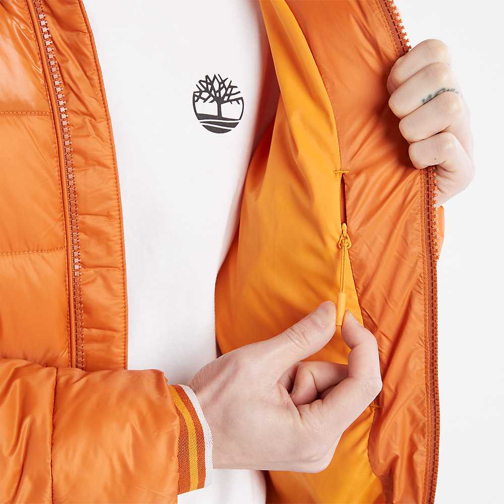 Men's Timberland Garfield Down Jackets Orange | UAE-3962174