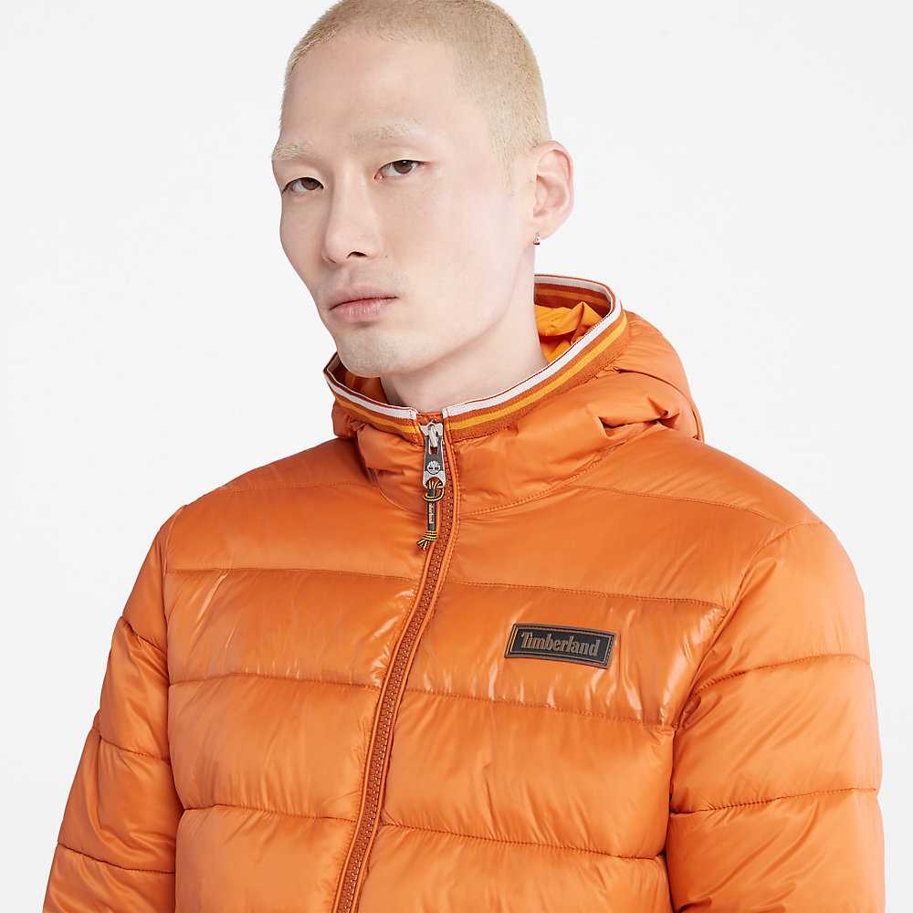 Men's Timberland Garfield Down Jackets Orange | UAE-3962174